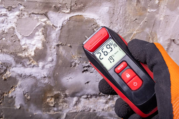 Best Home Mold Removal  in Mount Olive, NC