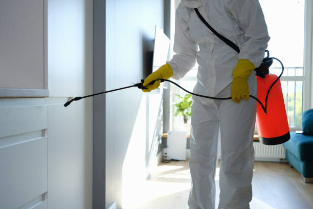  Mount Olive, NC Mold Removal Pros
