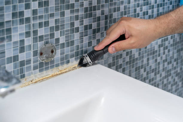 Best Mold Testing  in Mount Olive, NC