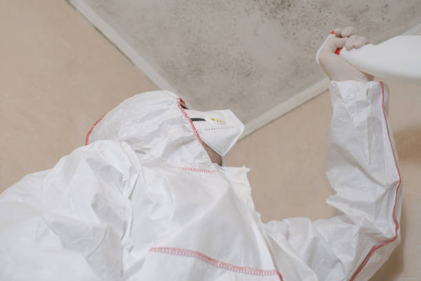 Best Crawl Space Mold Removal  in Mount Olive, NC