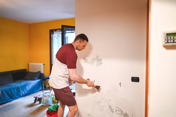 Best Professional Mold Removal  in Mount Olive, NC